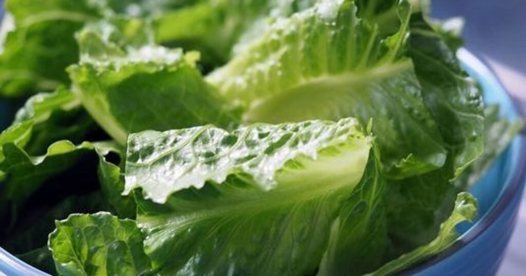 romaine safety